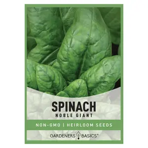 Giant Noble Spinach Seeds