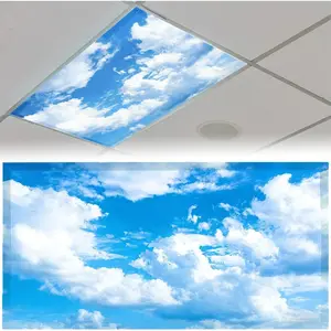 2pcs 4 x 2 Feet Fluorescent Magnetic Light Covers Light Filters for Ceiling Lights Classroom Office Home Hospitals (Cloud)