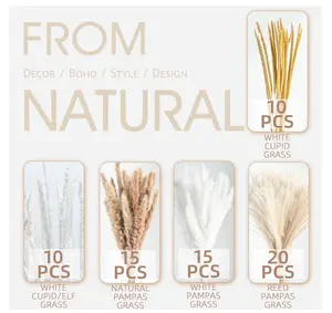 70PCS Natural Dried Pampas Grass Boho Home Decor Bouquet Phragmites Dried Flowers Bouquet for Wedding Floral Arrangements Home Decorations (70PCS)