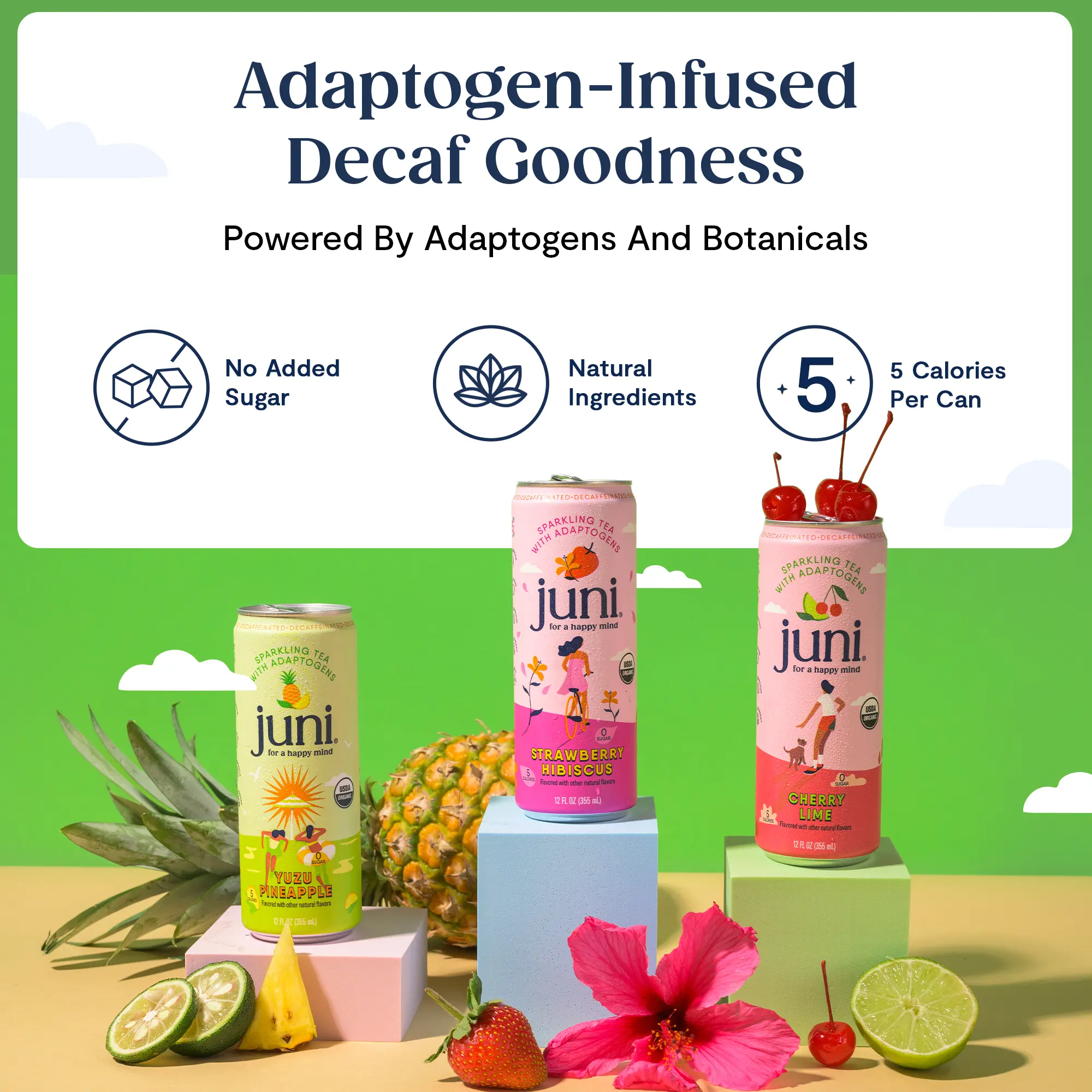 JUNI Sparkling Adaptogen Beverage with Ashwagandha and Lion’s Mane Mushroom, Green Tea for Focus, Zero Sugar, Organic, Non Alcoholic Drinks, 12-pack
