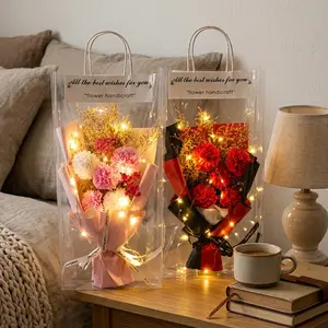 Mother's Day Preserved Carnation Bouquet with LED Lights, Forever Flower Handicraft Gift for Mom, Thank You Gift with Gift Bag