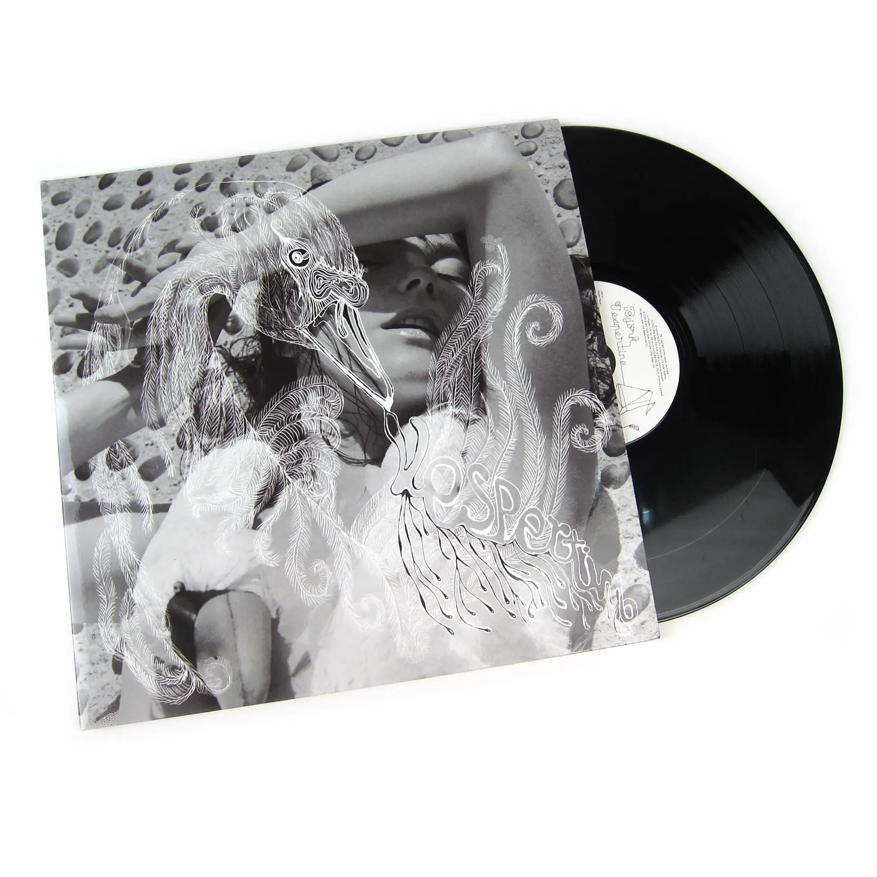 Bjork: Vespertine Dark Intimate Double Vinyl 2LP - Albums on Vinyl, Records Collections for Collectors