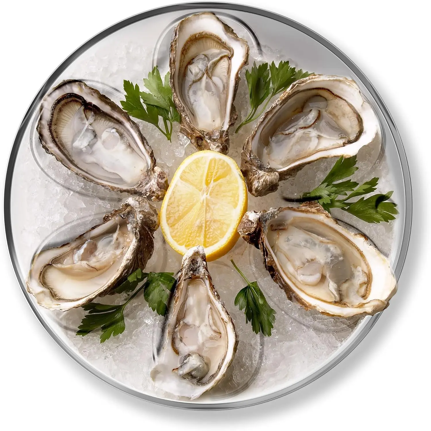Oyster Serving Tray, 6 Slots and Condiment Cup, Stainless Steel | Serve Oysters In Style | Holds 6 Oysters, Ice & Sauce | Great For Fresh & Cold Serving | Stainless Steel Oyster Tray