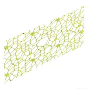 6-Pack Magnetic Mesh Spider Web Climbing Net 25cm x 10cm for Jumping Spider Enclosure Accessories Hidden Hide & Climb Set with 6 Magnetic Clips for Easy Install