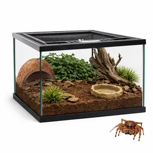 Reptile Glass Terrarium 12×12×8" Reptile tank  - Full View Design with Top Ventilation, Amphibians Box Habitat Enclosure Cage for Frog,Spiders,Dubia Cockroach,Praying Mantis,Cricket,Tarantula,Hermit Crab