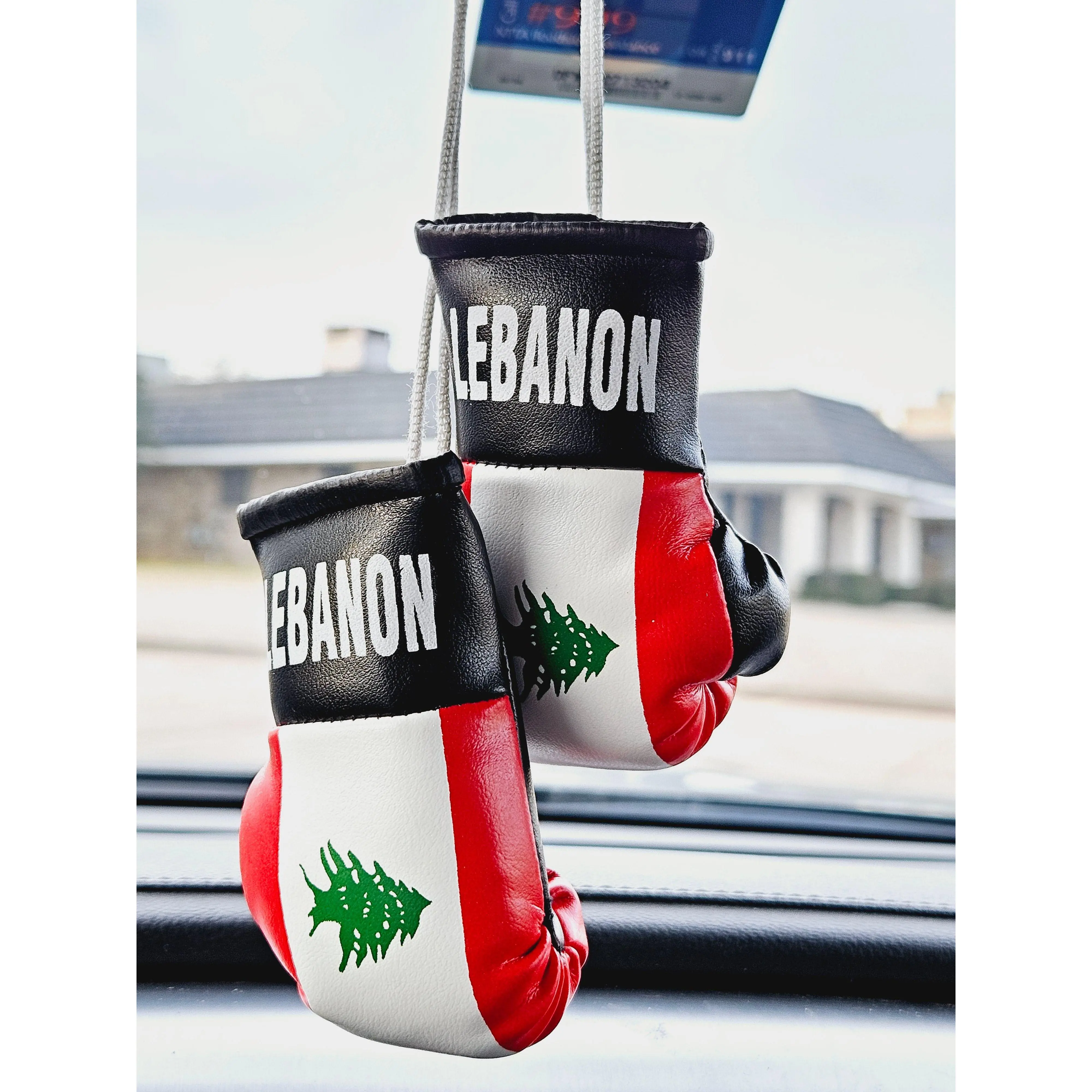Lebanon Mini Boxing Gloves For Hanging