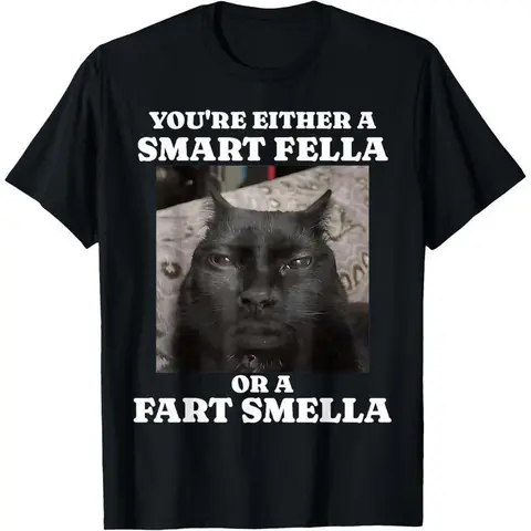 Men's Sarcastic Slogan Short-Sleeve T-Shirt - Menswear Top, Funny "Smart Fella or Fart Smella" Meme Graphic, Soft Polyester-Cotton Fabric, Loose-Fit Round Neck, Casual Streetwear for Daily Wear