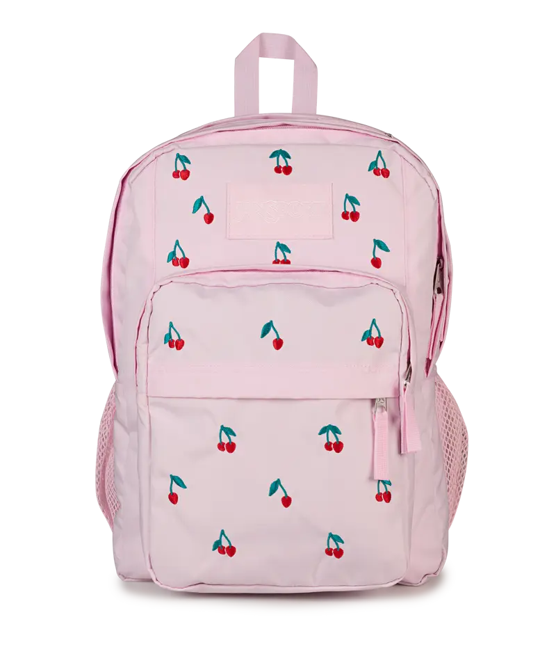 JanSport Unisex Big Plans
