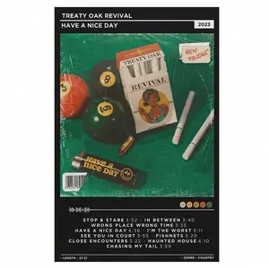 Frameless Vintage Canvas Poster Featuring Treaty Oak Revival's "Have A Beautiful Day" Design – A Music-Themed Pop Art Piece Suitable for Home, Office, Bedroom, Corridor, or Classroom Decoration with a Retro Aesthetic.