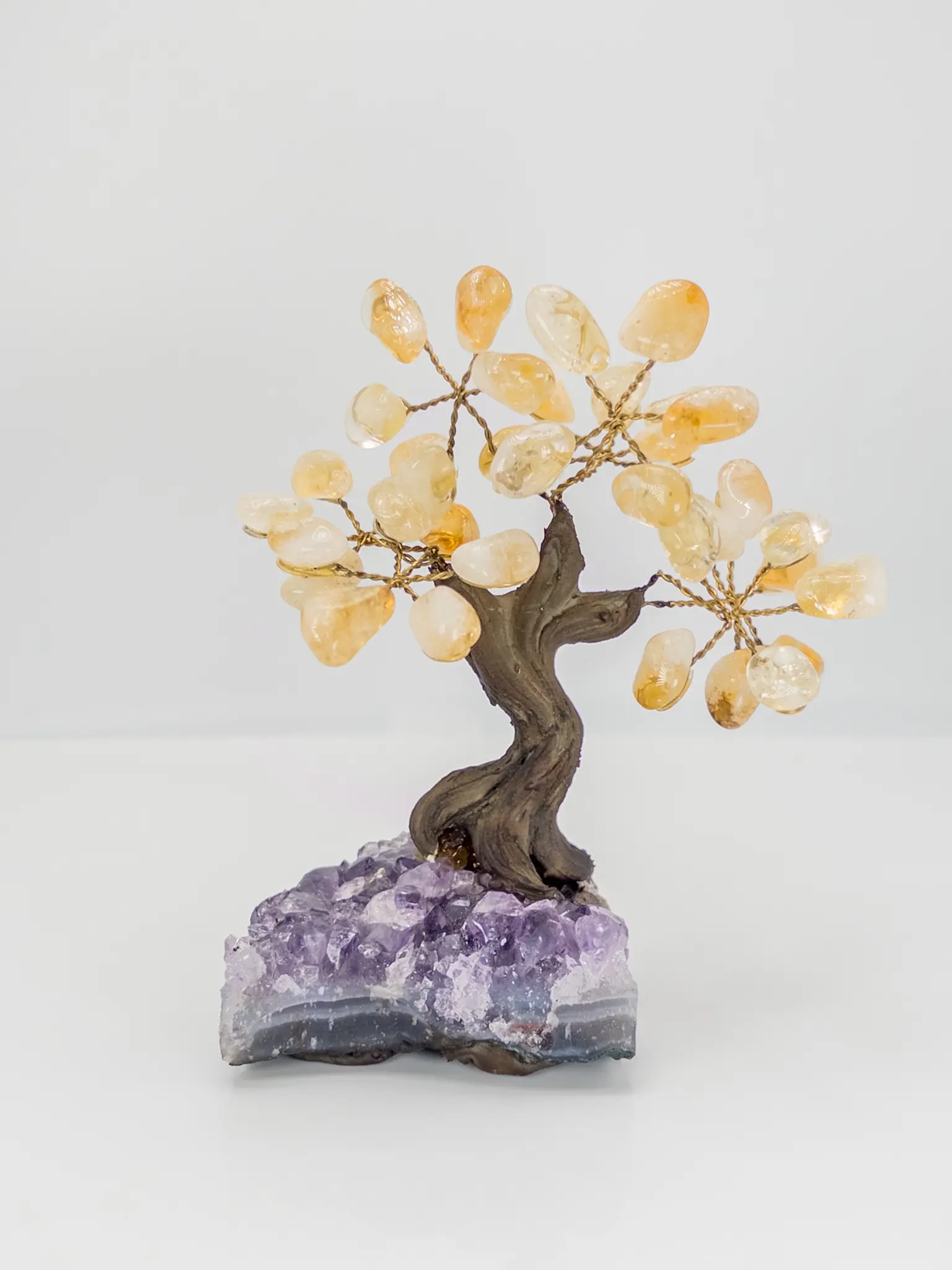 Amethyst Rooted Citrine Bonsai Tree