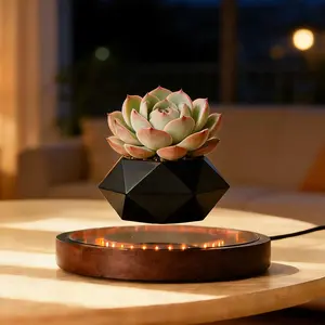 Magnetic Levitation Plant Pot With LED Light, Floating Planter Bonsai Pot 360° Rotating, Spinning Flower Pot Adult Desk Decor, Unique Fidget Gift