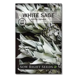 White Sage Seeds
