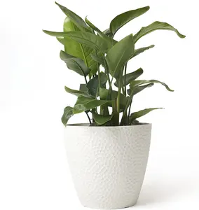 Outdoor/Indoor Tree Planters