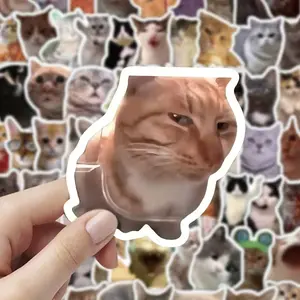 100 Cute Funny Cat Stickers Pack, Fashion Instagram Style Emojis, Perfect for Laptop, Luggage, Computer, Chair, Wall, Cabinet