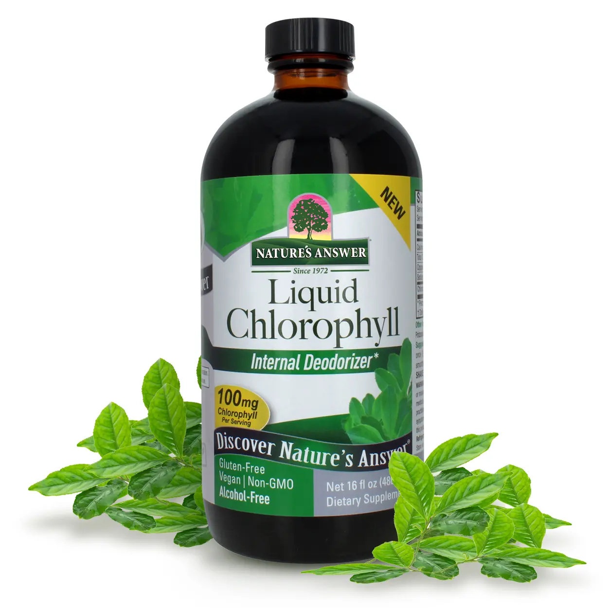 Nature's Answer Liquid Chlorophyll Spearmint 16oz | Internal Deodorant | Skin and Hair Support | Supports Immune Function | Detoxification | Gluten Free | Non-GMO | Single Count