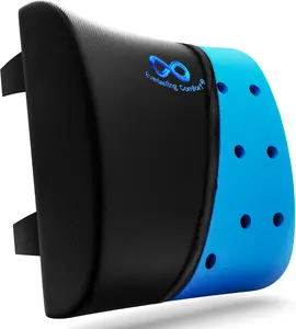 Everlasting Comfort Lumbar Support Pillow - Gel Infused Back Cushion for Chair, Car, Couch -Promotes Better Posture, Back Pain Relief - for Gaming