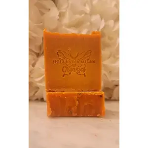 Turmeric w/ Blackseed & Aloe Vera Body Soap