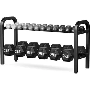 2 Tier Dumbbell Rack, Weight Rack for  Gym, 300 lb Capacity