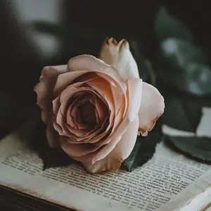 CITA A CIEGAS CON UN LIBRO