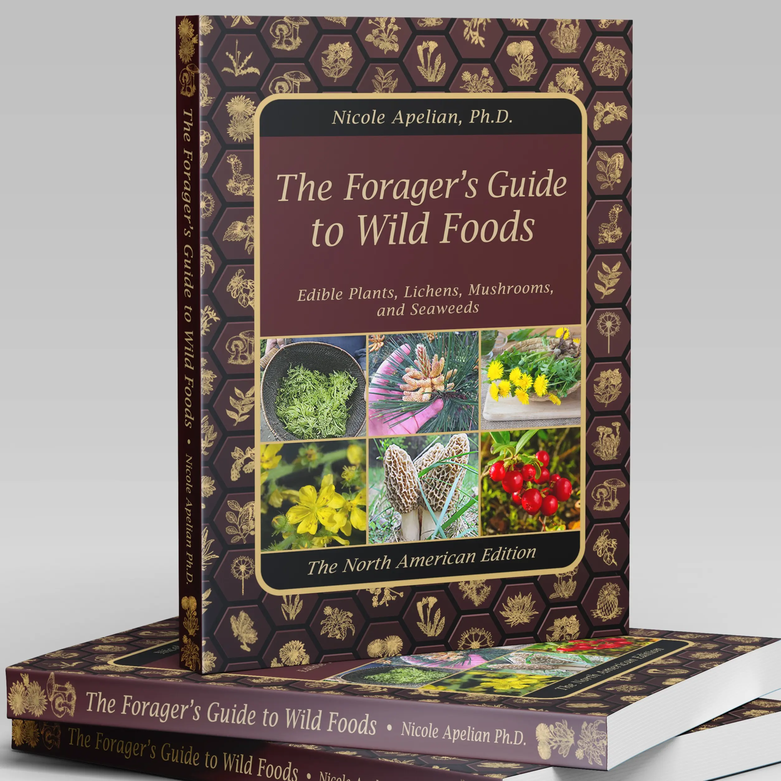 The Forager's Guide to Wild Foods | High-Quality Images & Maps for Plant Identification | Guidelines, Recipes, Full Page Photos, Medicinal Uses Books Growing