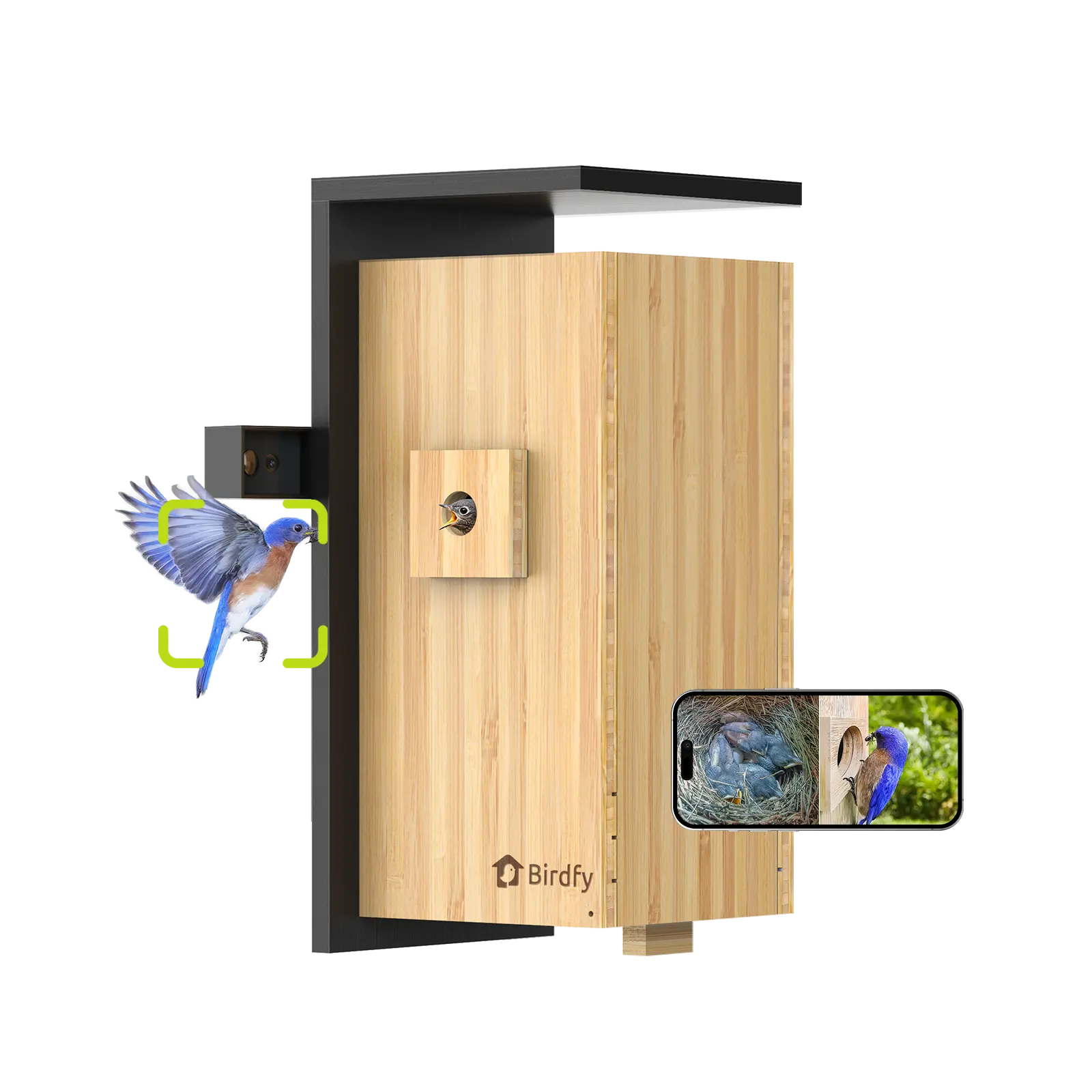 Birdfy Smart Bird House with Cameras ,1080P Dual-Cam, Remote Control,Solar Powered, AI Identify, Wireless Outdoor Watch Bluebird Cardinal Nesting Story in Realtime, DIY Gift (Bamboo), SummerVibes, Petlovers