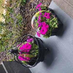 review image 3