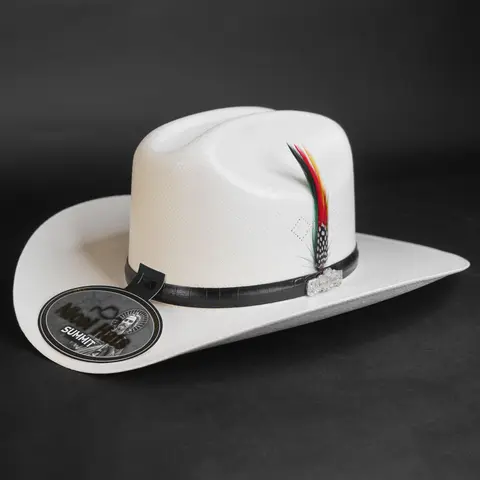 Nicol Palma Estilo Sinaloa 100X Falda 3 1/2" Brim Cowboy Hat Sombrero Short Crown 4 1/2" Con Pluma Original