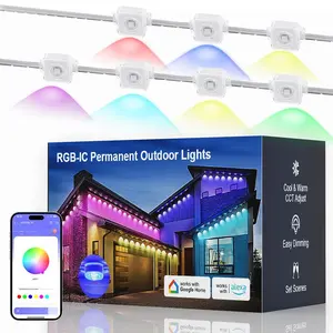 Nexillumi Outdoor Constant Light 2025 Smart RGB+IC LED Light with Remote Control, IP67 Waterproof, Suitable for Christmas and Holiday Decorations