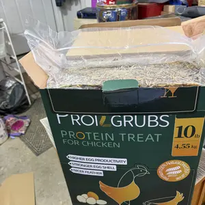 PROILGRUBS 10 LBS Non-GMO Dried Worms for Chickens High Protein Treats 4.55 kg All-Natural Black Soldier Fly Larvae for Higher Egg Productivity & Stronger Egg Shells Enhance Sustainable Organic Snack Nicer Feather