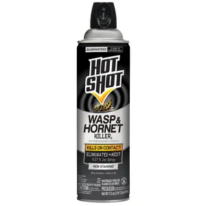 Hot Shot Wasp & Hornet Killer Outdoor Aerosol Spray, 17.5 Ounces