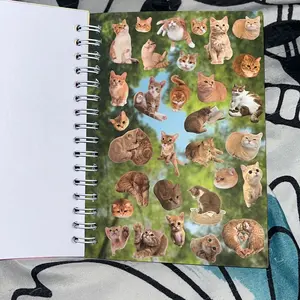 review image 10