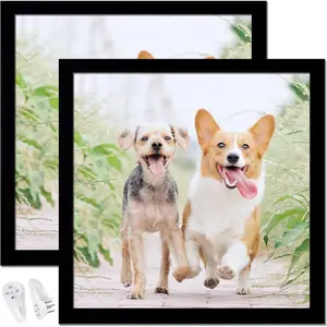 14x14 Picture Frame Set of 2, Black Square High Transparent Photo Frames for Wall Gallery Desktop, Horizontal Vertical for Canvas Collage Photo Poster Certificate 14 x 14 inches