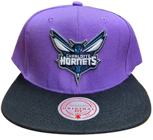 Men's Mitchell & Ness Purple/Black NBA Charlotte Hornets Easter Snapback