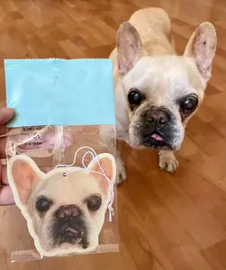 Custom Air Freshener Custom Air Freshener