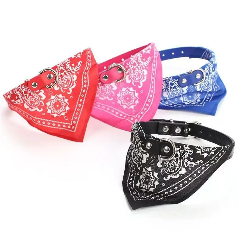 2-Pack, Random Colors
