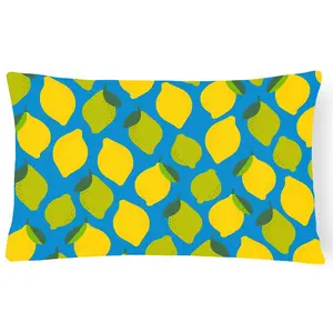 212 MAIN Citrus Theme Decorative Pillow - Heavyweight, Fade Resistant, Machine Washable Home Decorative Cushion for Home and Garden Decor Indoor/Outdoor Household Textiles, Home Decorative Cushions