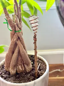 Herkimer Diamond Copper Plant Stake – Handmade Electroculture Antenna