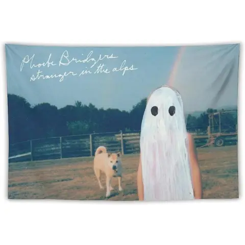 Phoebe Bridgers Music Album Cover Tapestry - Light Cotton-Linen Indoor/Outdoor Wall Art Banner, 60x90in Design, Unique Decoration for Bedroom, Anniversary/Birthday Gift, Apartment Accessory