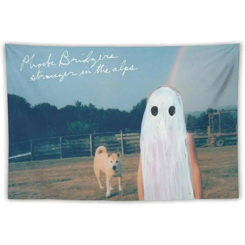 Phoebe Music Poster Bridgers Tapestry Album Cover Banner Posters Wall Art for Bedroom, College Dorm, and Home Decor - Decorative Hanging Flag Poster Party Design Birthday Anniversary Blue Brown bedroom decor tapestry chill room accessories tiktokshopsprin