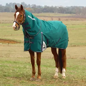 WeatherBeeta ComFiTec Plus Dynamic Detach-A-Neck Heavy Weight Turnout Blanket for Horses - 1200D, 360g Polyfill, Waterproof & Breathable
