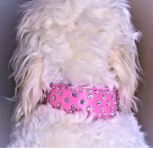 Hot Pink Cog Collar