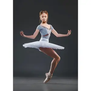 Nikolay 7 Layer Rehearsal Tutu