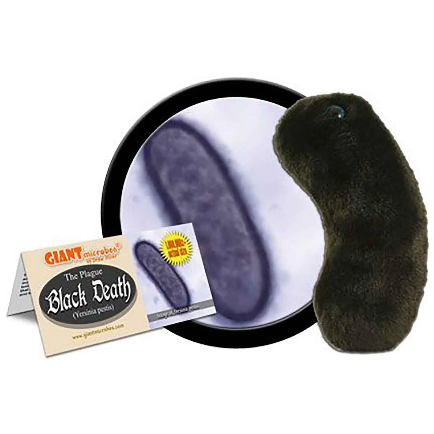 Giant Microbes Plush - Black Death (Yersinia Pestis)