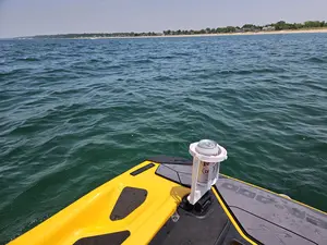 Gimbal Holder - compatible with LinQ