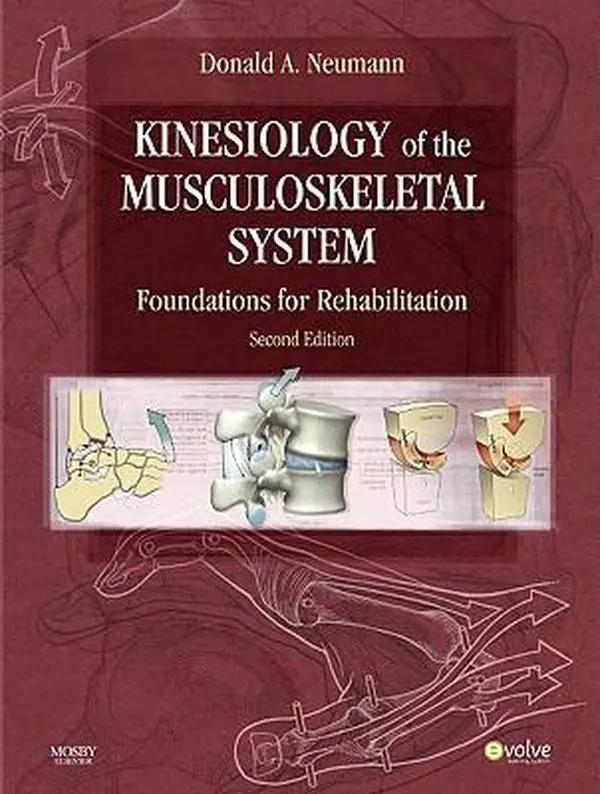 USED-Kinesiology of the Musculoskeletal System: Foundations for Rehabilitation by Donald A. Neumann (Hardcover)