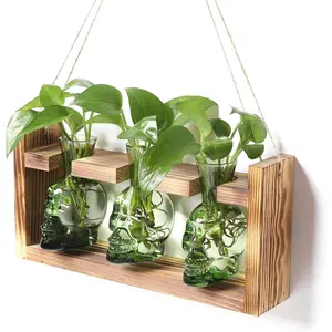 Terrarium Propagation Stations Hydroponics Halloween Skull Planter Vase Skulls Decor with Wooden Stand  for Father