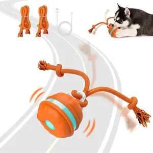 Interactive Cat Ball Toy for Smart Play & Active Cats