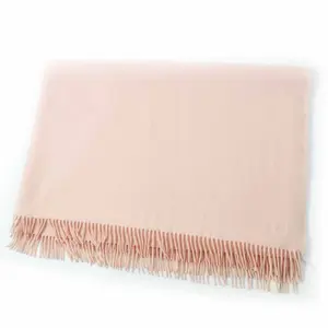 Pre-owned HERMÈS Cashmere Small Leather Goods Hermes Embroidered Logo Shawl