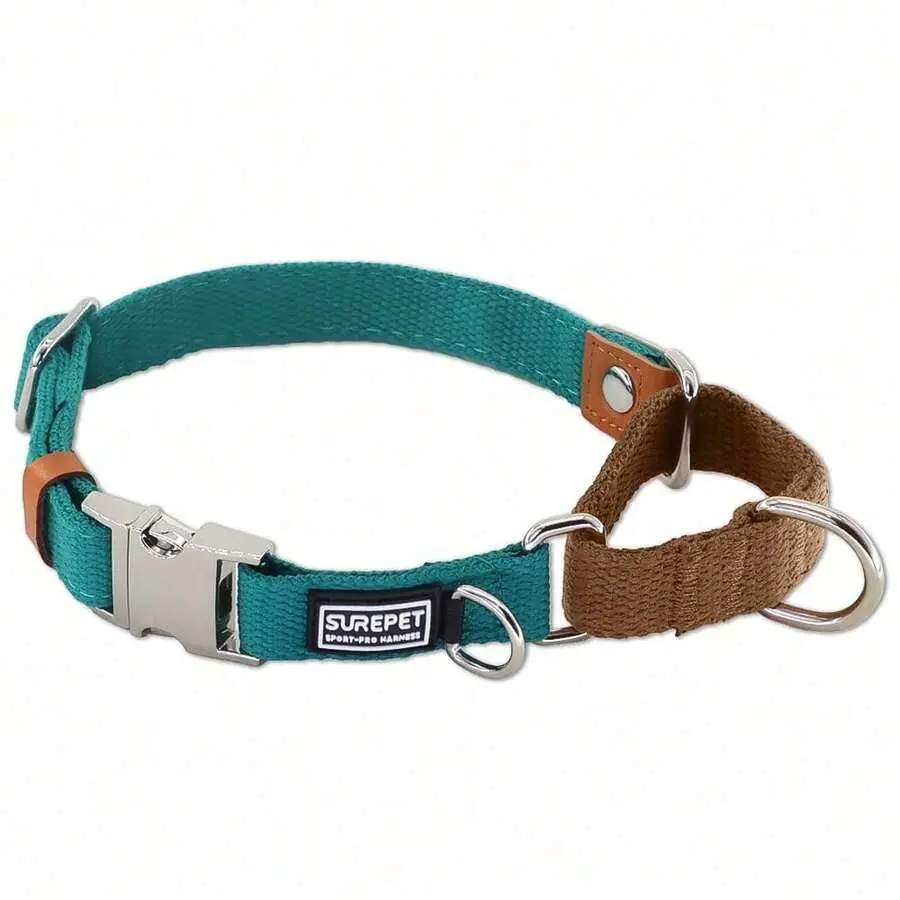 Martingale Dog Collar - No-Pull Design Nylon Collar with Alloy Metal Buckle, D-Ring, 1-Time Adjustment, Escape-Proof Colorblock Pet Accessory for Outdoor Training & Walking, Collars