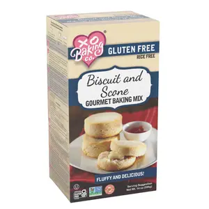 XO Baking Co. Gluten-Free Rice-Free Soy-Free Dairy-Free Non-GMO Biscuit & Scone Mix
